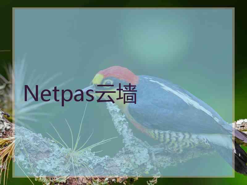 Netpas云墙 Netpas云墙