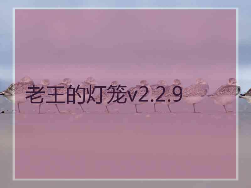 老王的灯笼v2.2.9 老王的灯笼v2.2.9