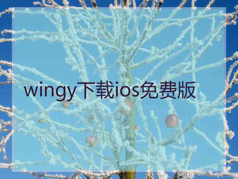 wingy下载ios免费版 wingy下载ios免费版