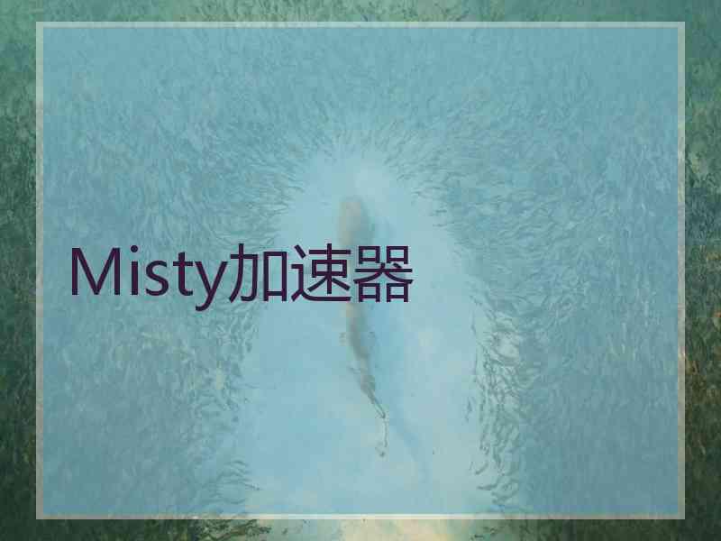 Misty加速器