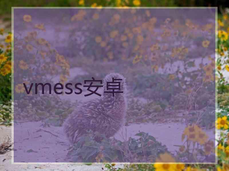 vmess安卓