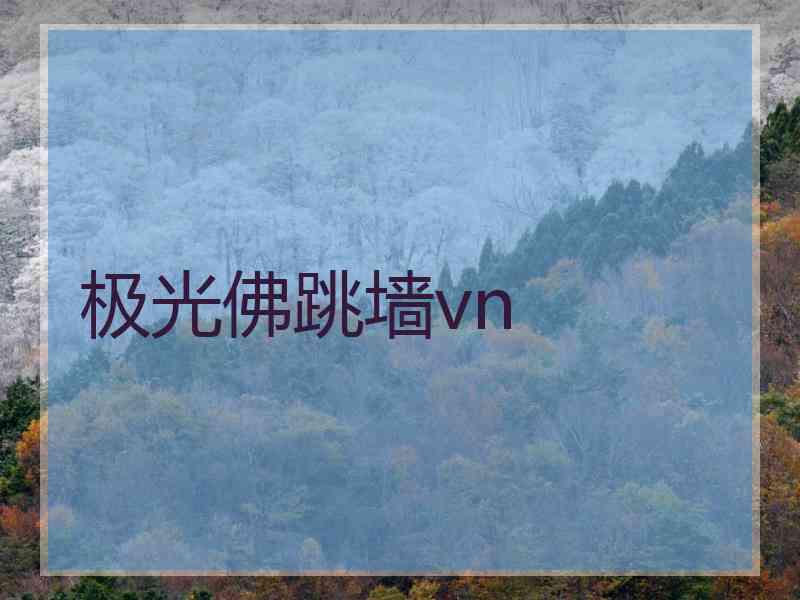 极光佛跳墙vn