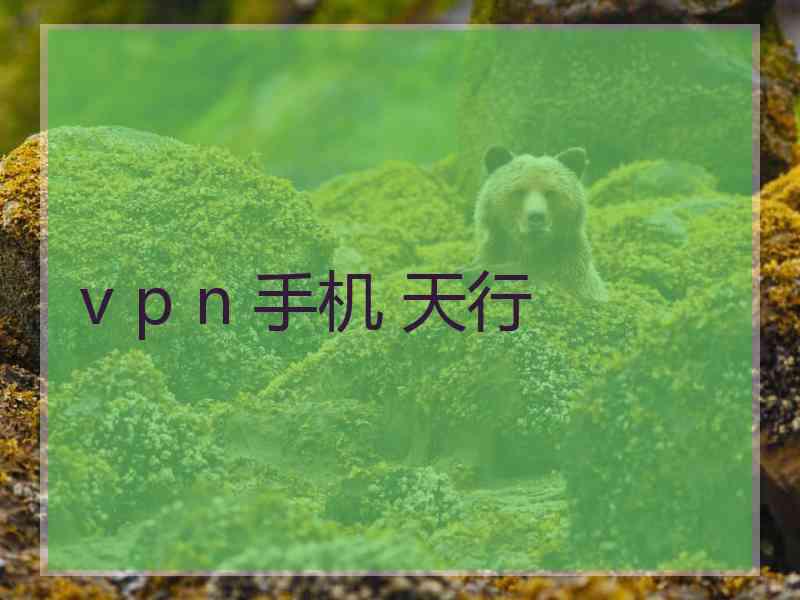 v p n 手机 天行