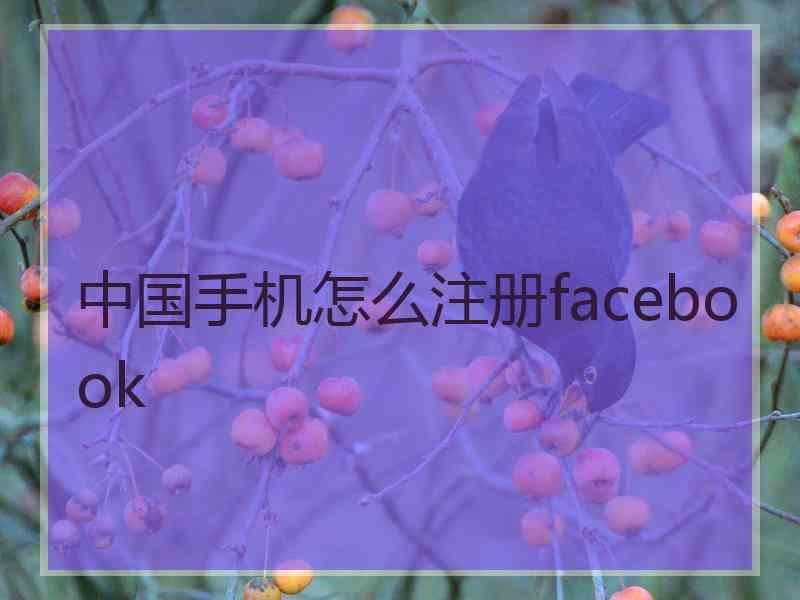 中国手机怎么注册facebook