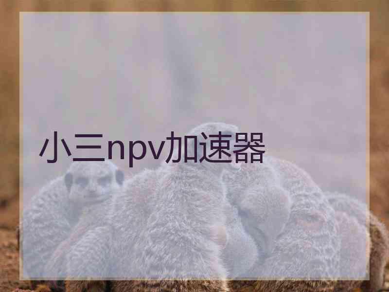 小三npv加速器