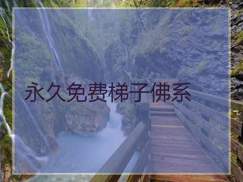 永久免费梯子佛系