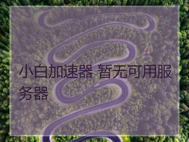 小白加速器 暂无可用服务器