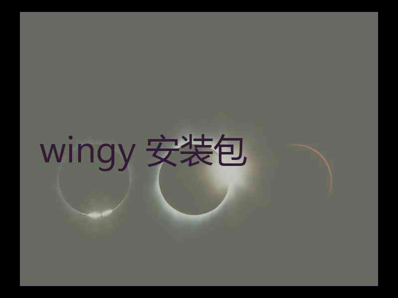 wingy 安装包