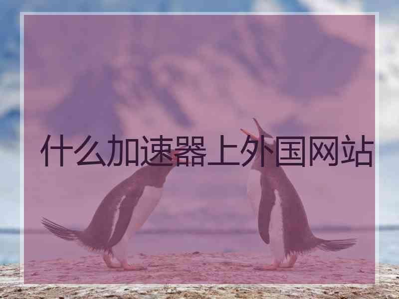 什么加速器上外国网站