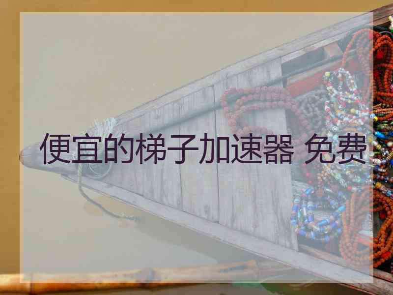 便宜的梯子加速器 免费