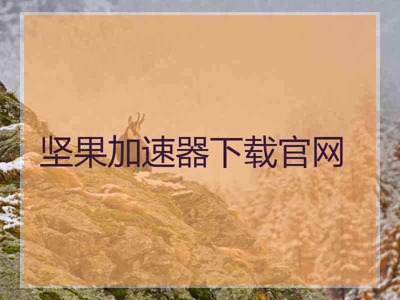 坚果加速器下载官网