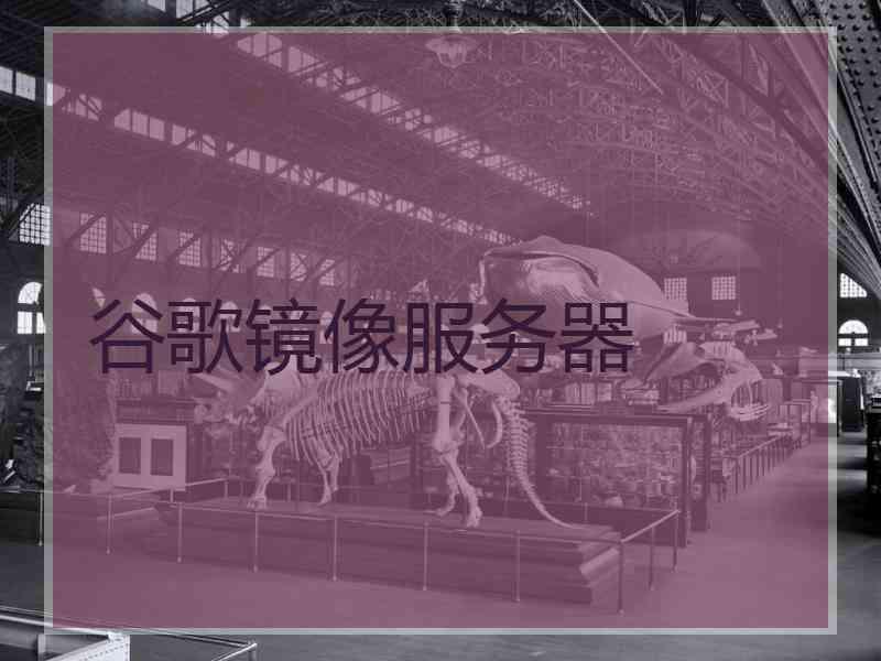 谷歌镜像服务器