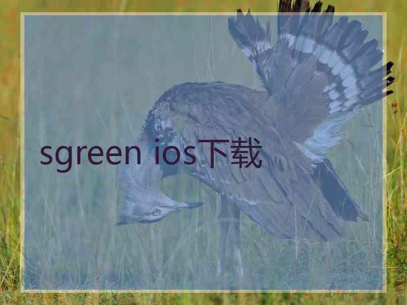 sgreen ios下载