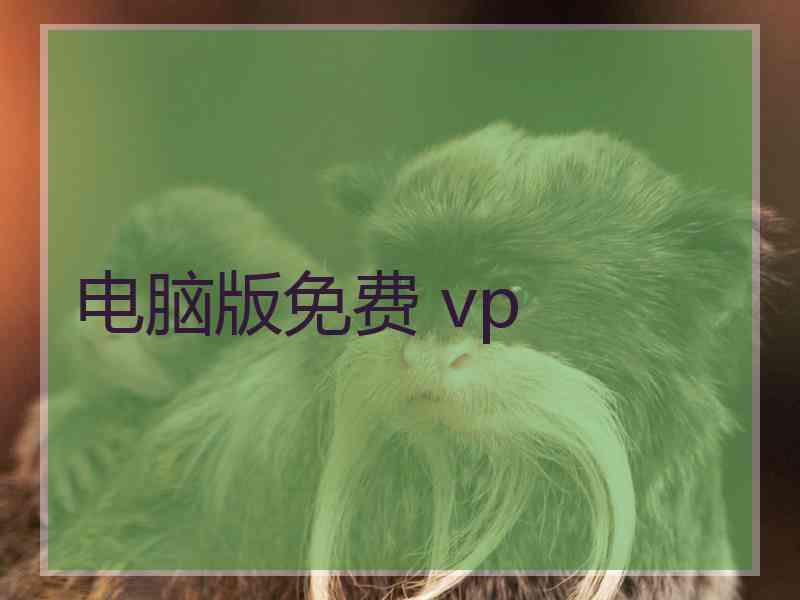 电脑版免费 vp