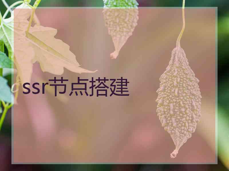 ssr节点搭建