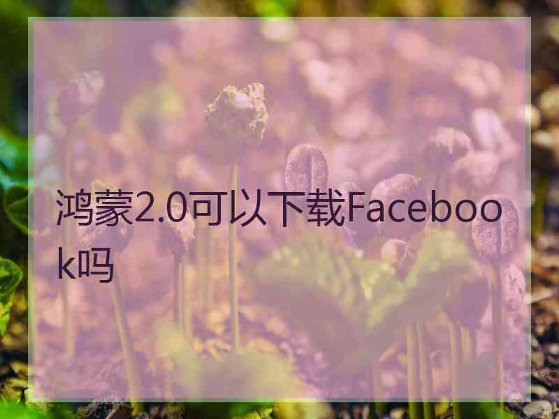 鸿蒙2.0可以下载Facebook吗
