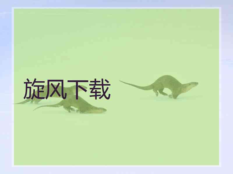 旋风下载