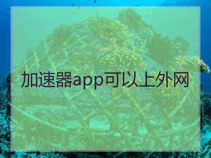 加速器app可以上外网