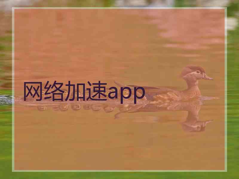 网络加速app