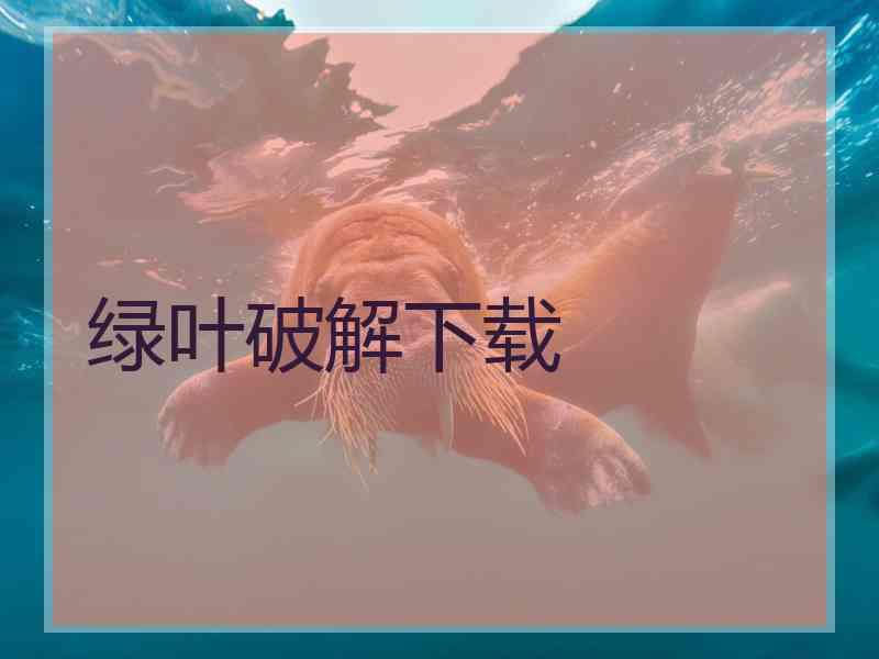 绿叶破解下载