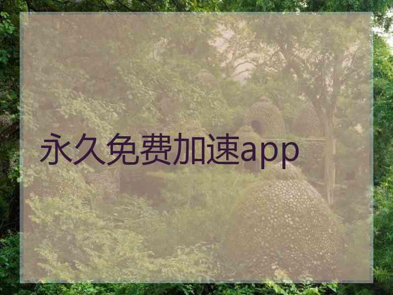 永久免费加速app