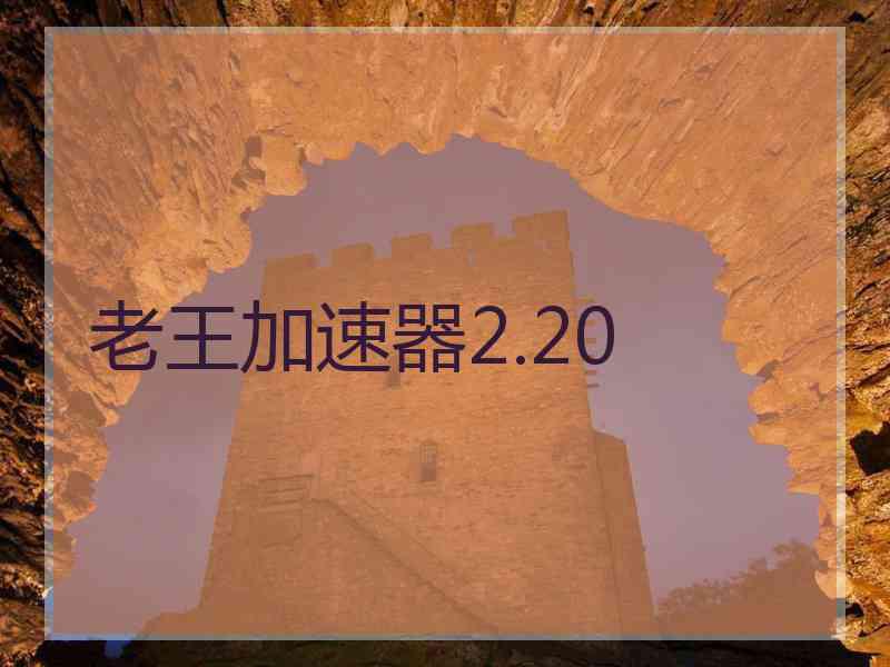 老王加速器2.20