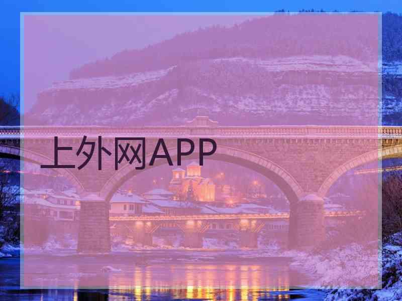 上外网APP