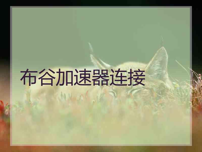 布谷加速器连接