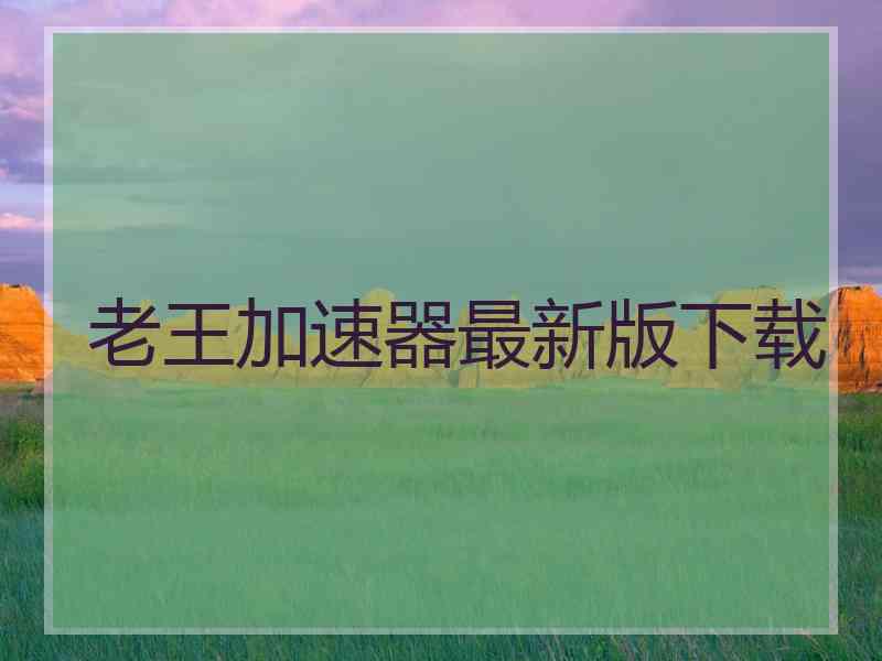 老王加速器最新版下载