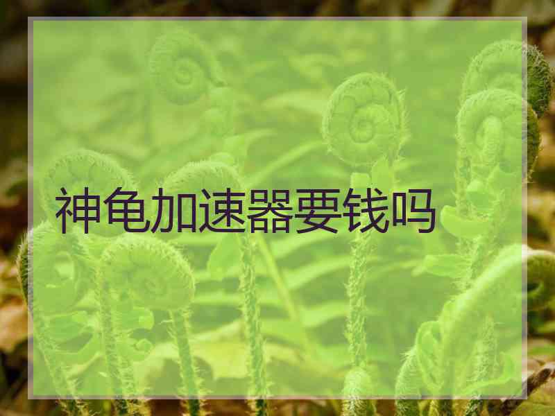 神龟加速器要钱吗