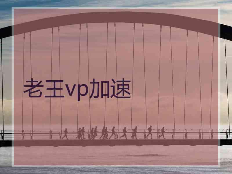 老王vp加速