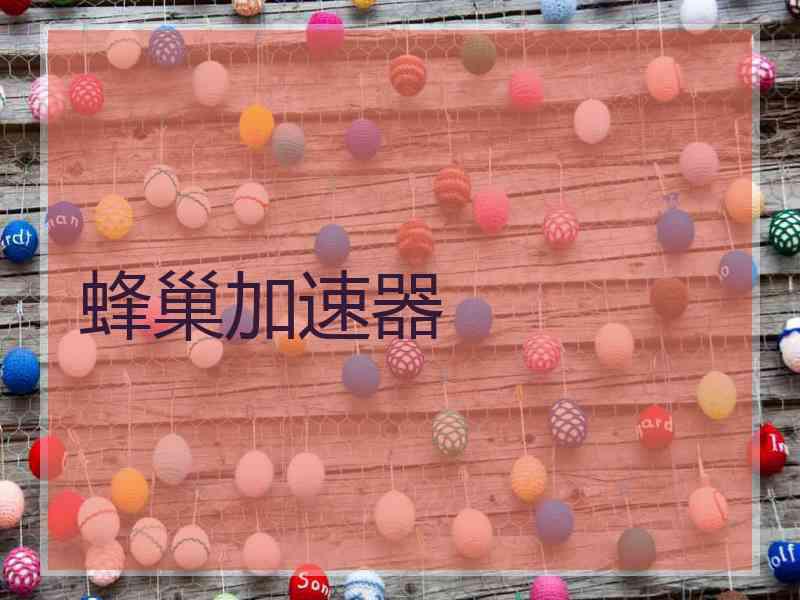 蜂巢加速器