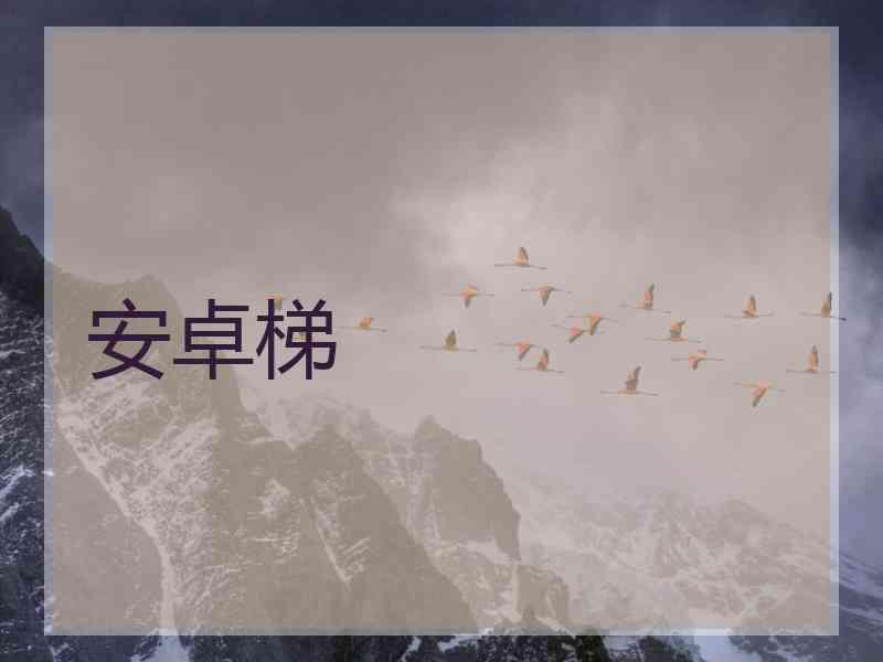 安卓梯