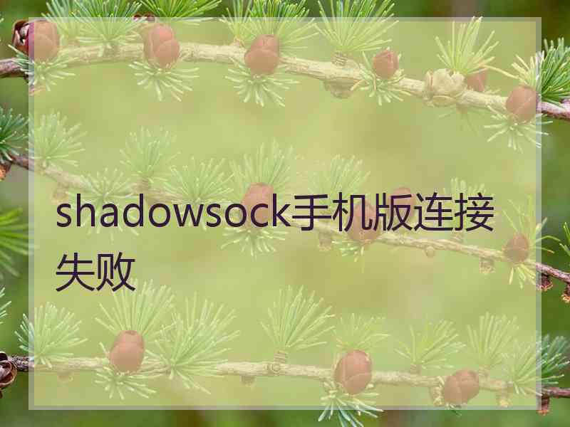 shadowsock手机版连接失败