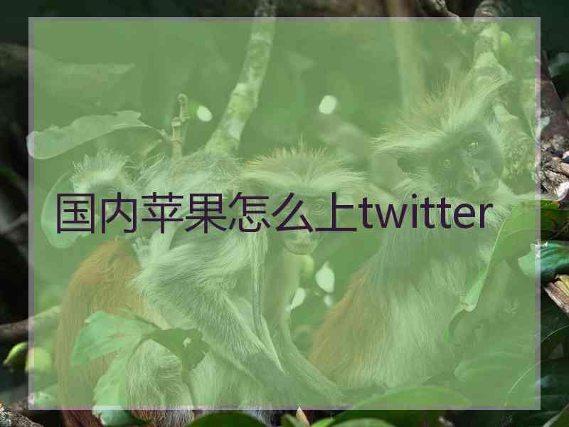 国内苹果怎么上twitter