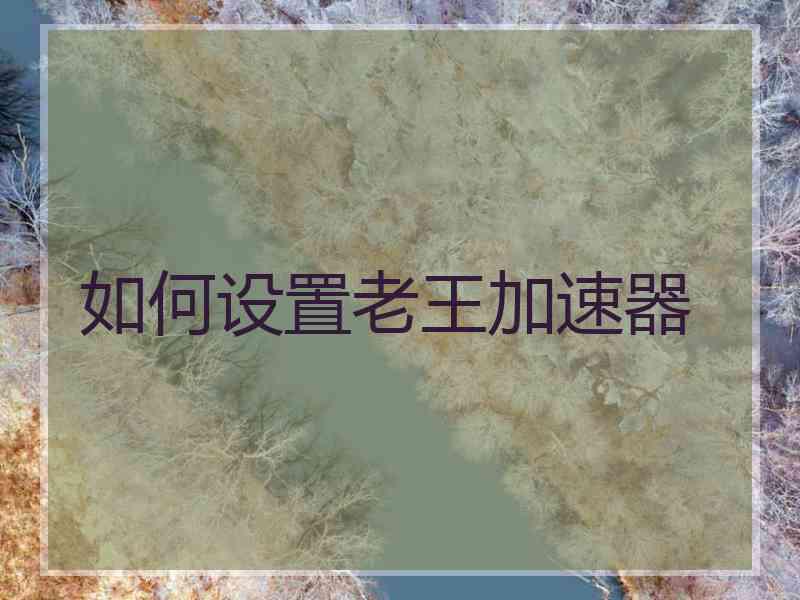 如何设置老王加速器