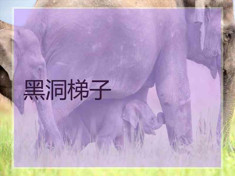 黑洞梯子