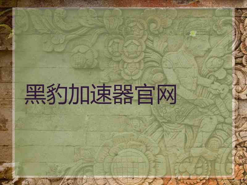 黑豹加速器官网