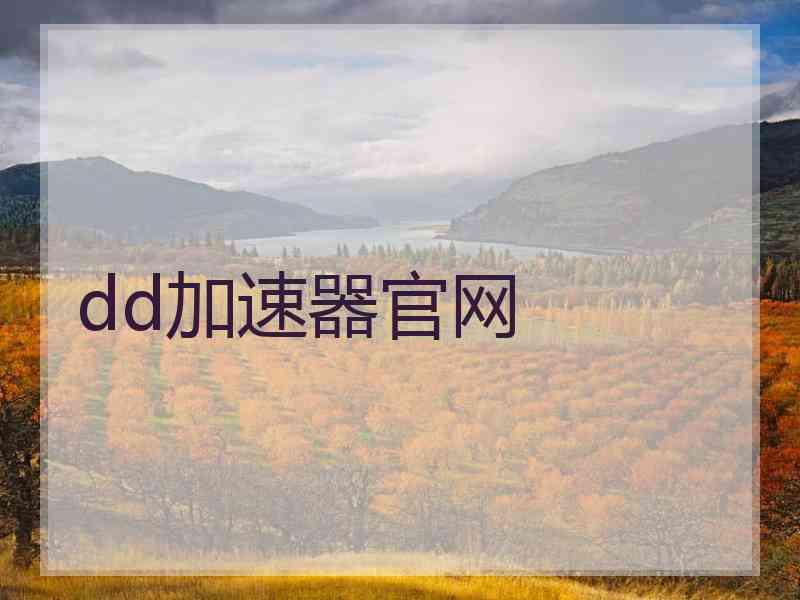 dd加速器官网