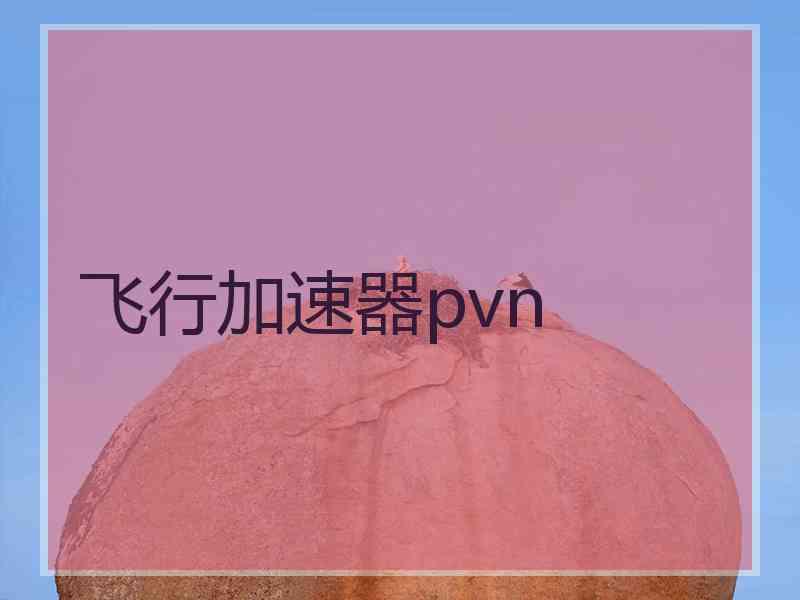 飞行加速器pvn