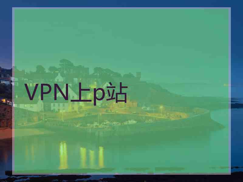VPN上p站