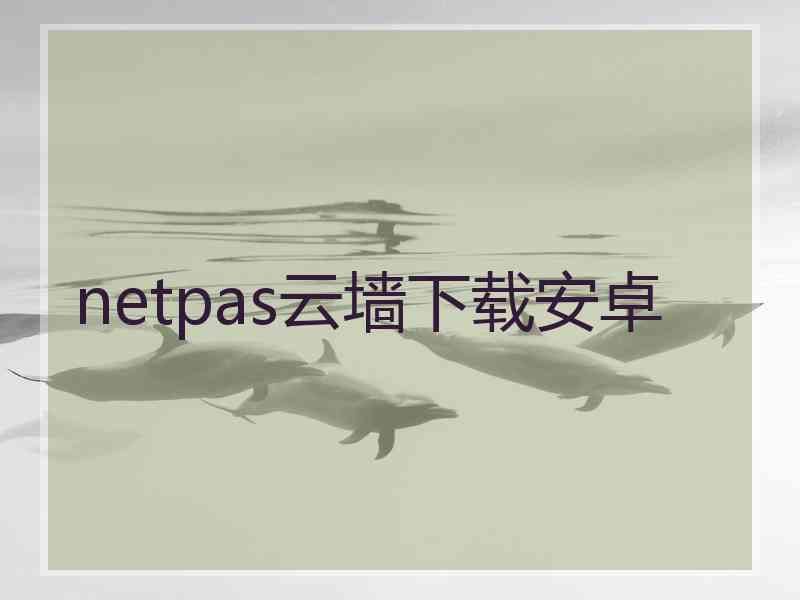 netpas云墙下载安卓
