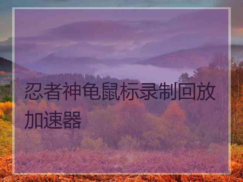 忍者神龟鼠标录制回放加速器