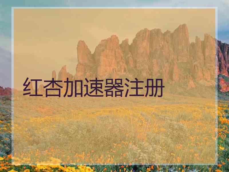 红杏加速器注册