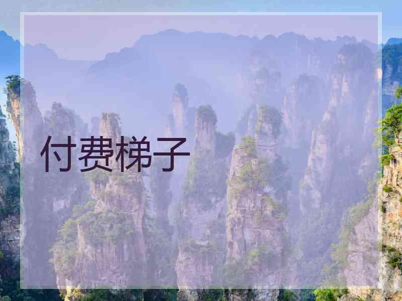 付费梯子