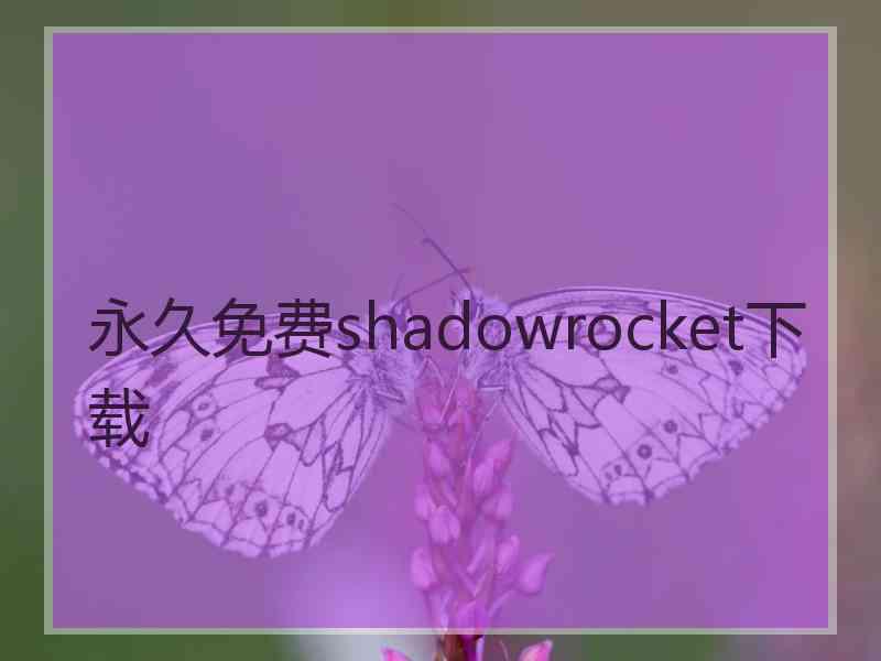 永久免费shadowrocket下载