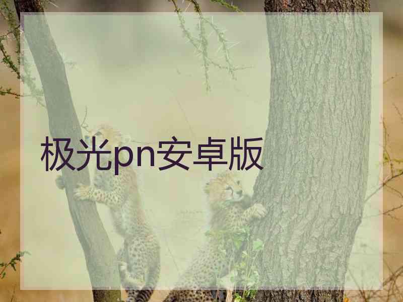 极光pn安卓版