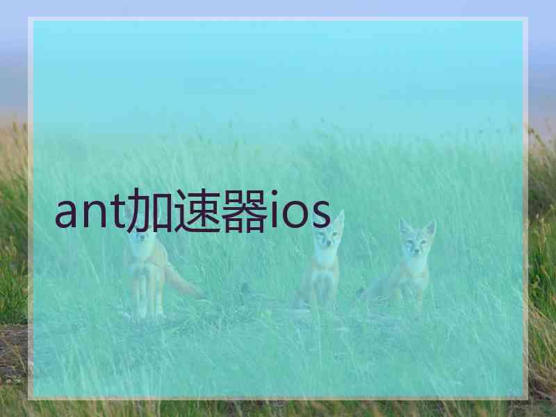 ant加速器ios