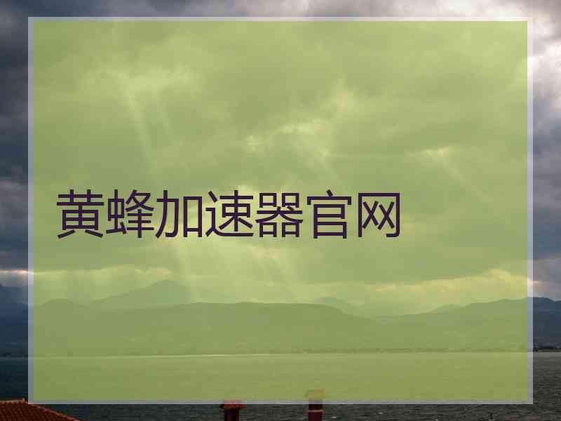 黄蜂加速器官网