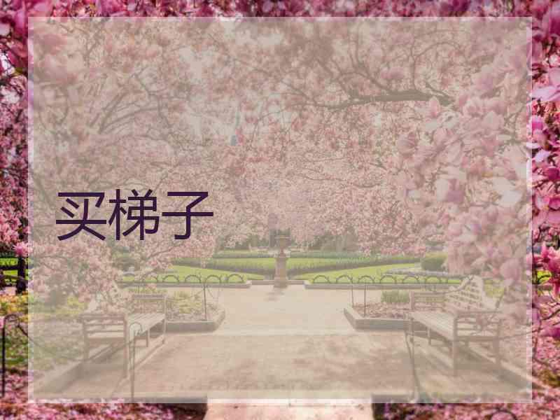 买梯子